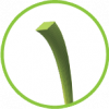 adiamante